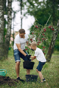 Plant a Tree